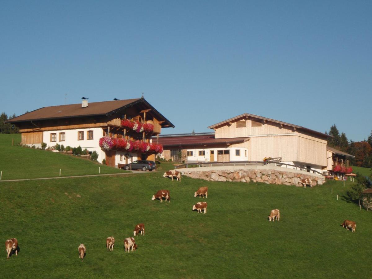 Sonnenappartements Madlstatthof Wildschoenau Buitenkant foto