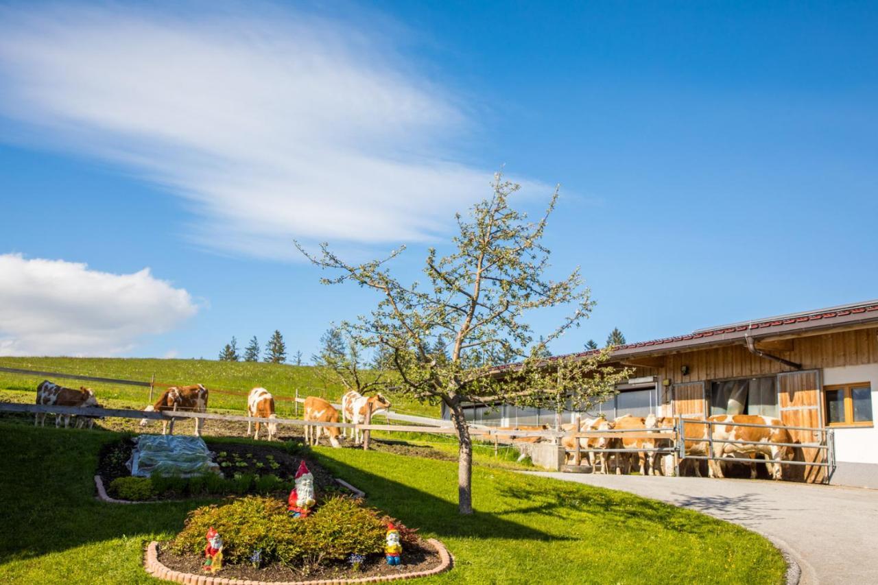 Sonnenappartements Madlstatthof Wildschoenau Buitenkant foto